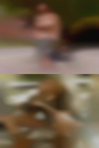 Guns and nude swingers girls.